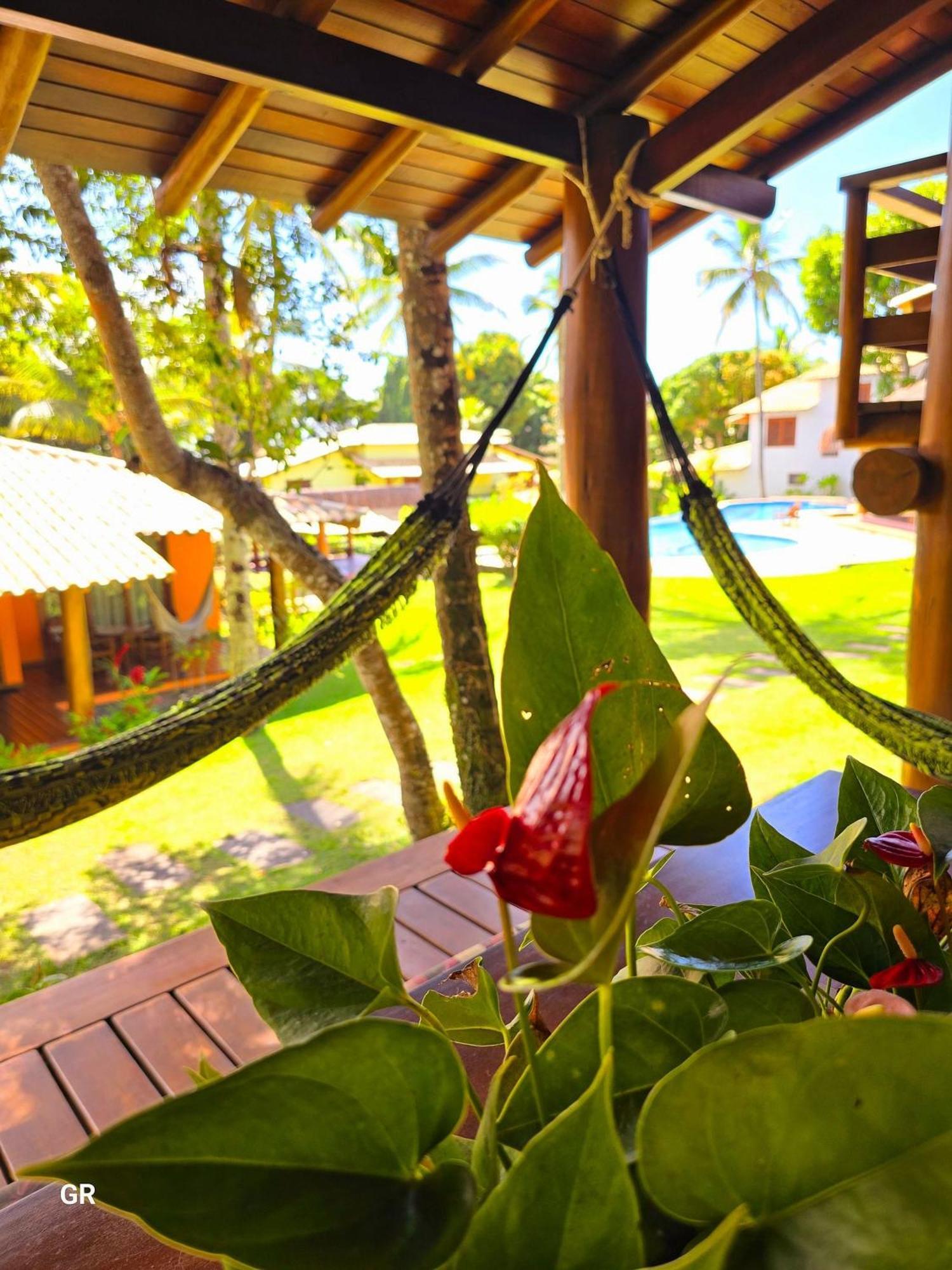 Top Houses Village Tropical Centro De Arraial ปอร์โตเซกูโร ภายนอก รูปภาพ