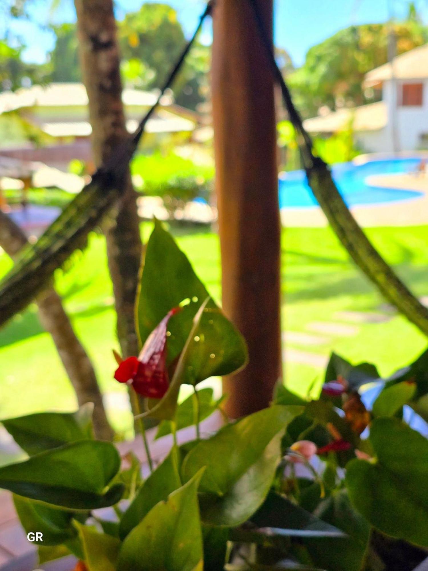 Top Houses Village Tropical Centro De Arraial ปอร์โตเซกูโร ภายนอก รูปภาพ